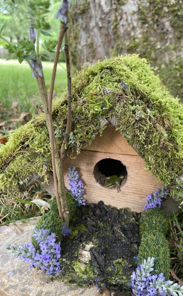 “Tiny The Frog’s House” by Sheila Cox (age 69)